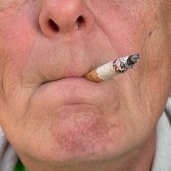 cigdick
